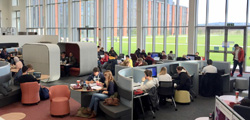 Bay Library